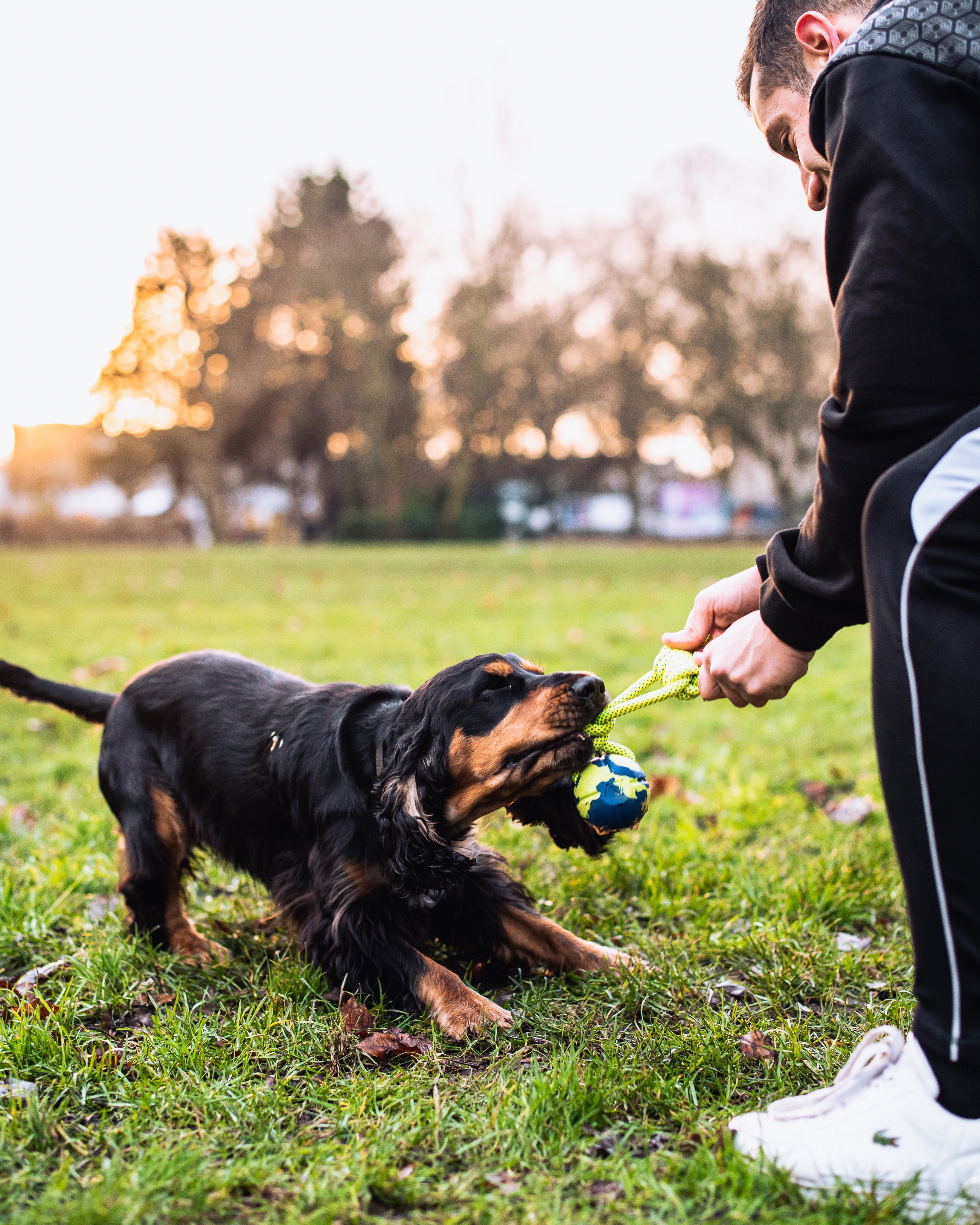 If you are a dog lover, playing with your dog is an important part of building a connection with your best friend! The ball is made from natural rubber, which is non-toxic and very durable. Our Loopo dog toy is great for underhand throwing (so you do not strain your shoulder) and fetching with your dog.